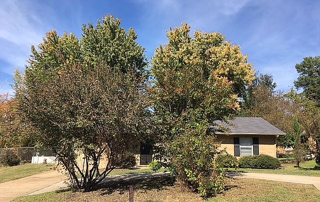 1st image of 2455 Briarwood Dr