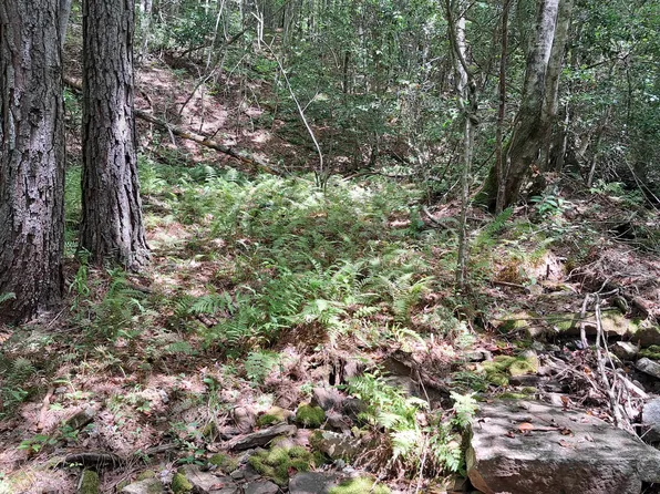 Airport Road Pca Lot 18, Rockwood, TN 37854