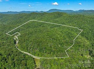 0 Frozen Creek Rd, Brevard, NC 28712