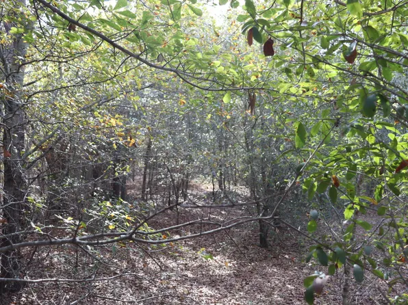 0 Neeses Hwy, Neeses, SC 29107