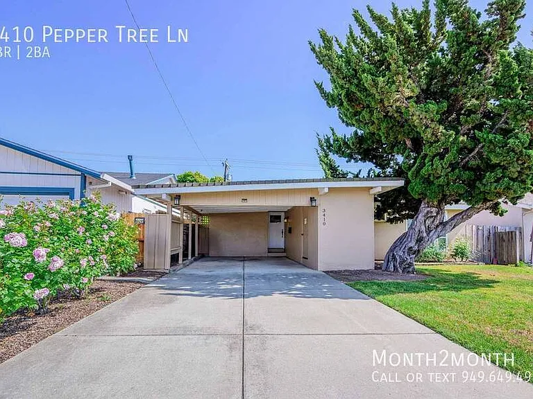 3410 Pepper Tree Ln — Photo 44