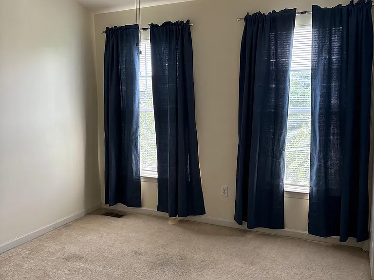 116 Fringetree Dr — Photo 17