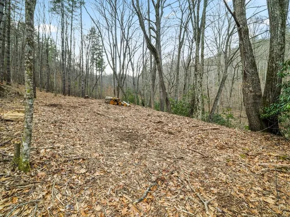 3 Craig Rd, Franklin, NC 28734