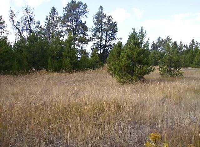 2nd image of Tbd Brookie Rd