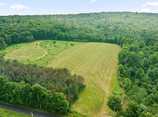 375 Ticknor Brook Rd, Whitney Point, NY 13862