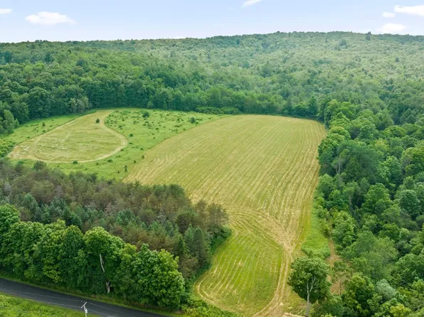 375 Ticknor Brook Rd, Whitney Point, NY 13862