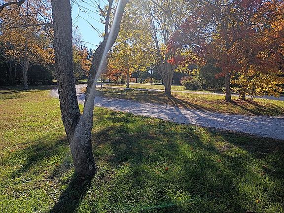 4th image of 1321 Rose Ln