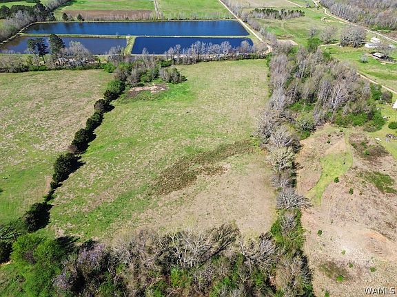 3rd image of 11526 Sipsey Valley Rd N