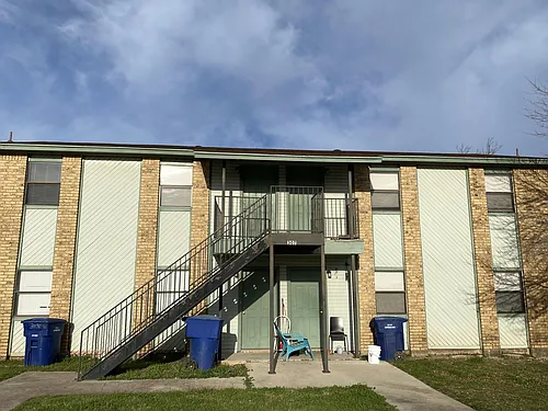 307 Northern Dove - C Photo 1
