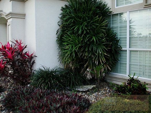 4th image of 4620 Algodon Ct