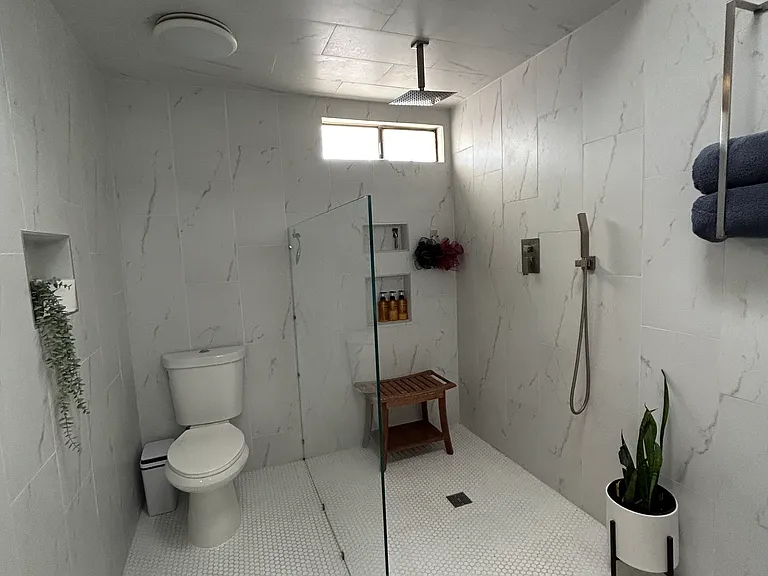 Master Bathroom Shower and Toilet