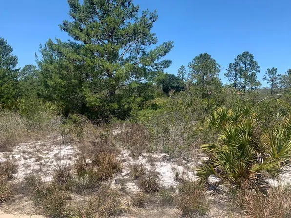 2918 W Gaffney Road, Avon Park, FL 33825