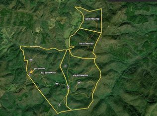 Wolf Creek Rd LOT WP001, Robbins, TN 37852