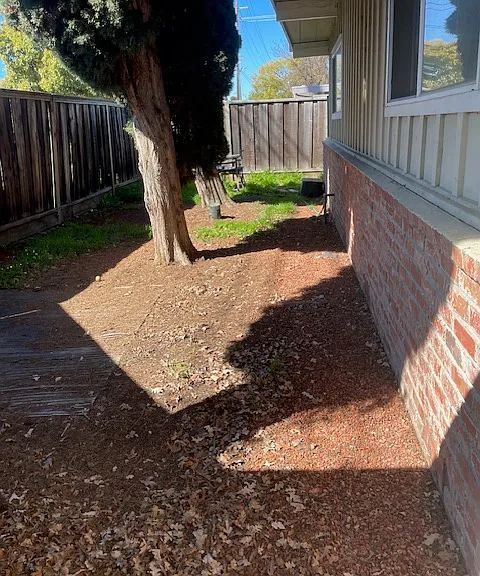 3121 Alma St — Photo 29
