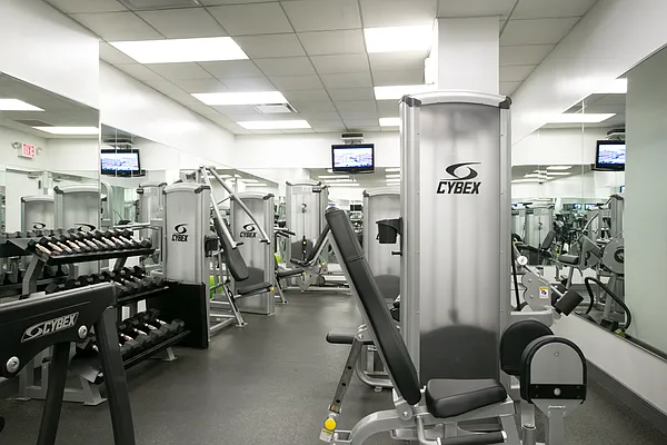 Rented by The Monterey | media 84