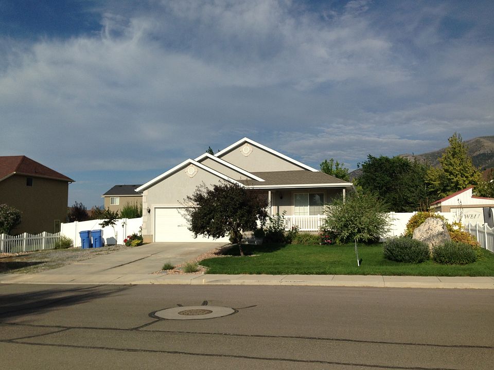 Beautiful Landscaped Yard