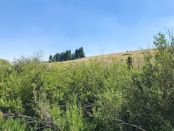 2nd image of Upper Deep Crk