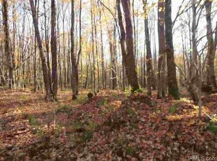 E Shore Rd, Marenisco, MI 49947