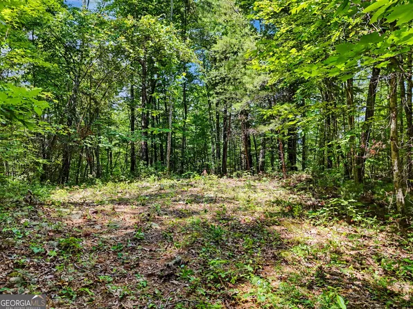 0 Hidden Falls Dr Lot 3, Tiger, GA 30576