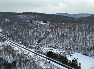 L32121 County Highway 14, Franklin, NY 13775