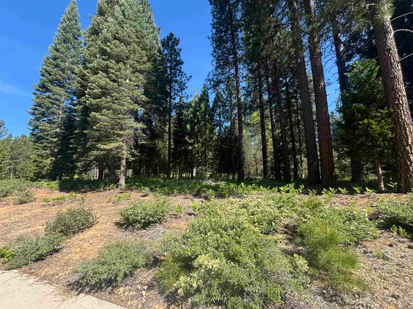 LOT 43 Panther Meadow Dr, McCloud, CA 96057