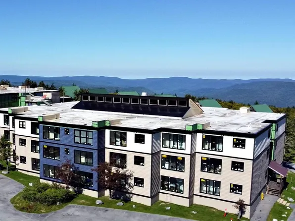 110 Snowcre St #B, Snowshoe, WV 26209