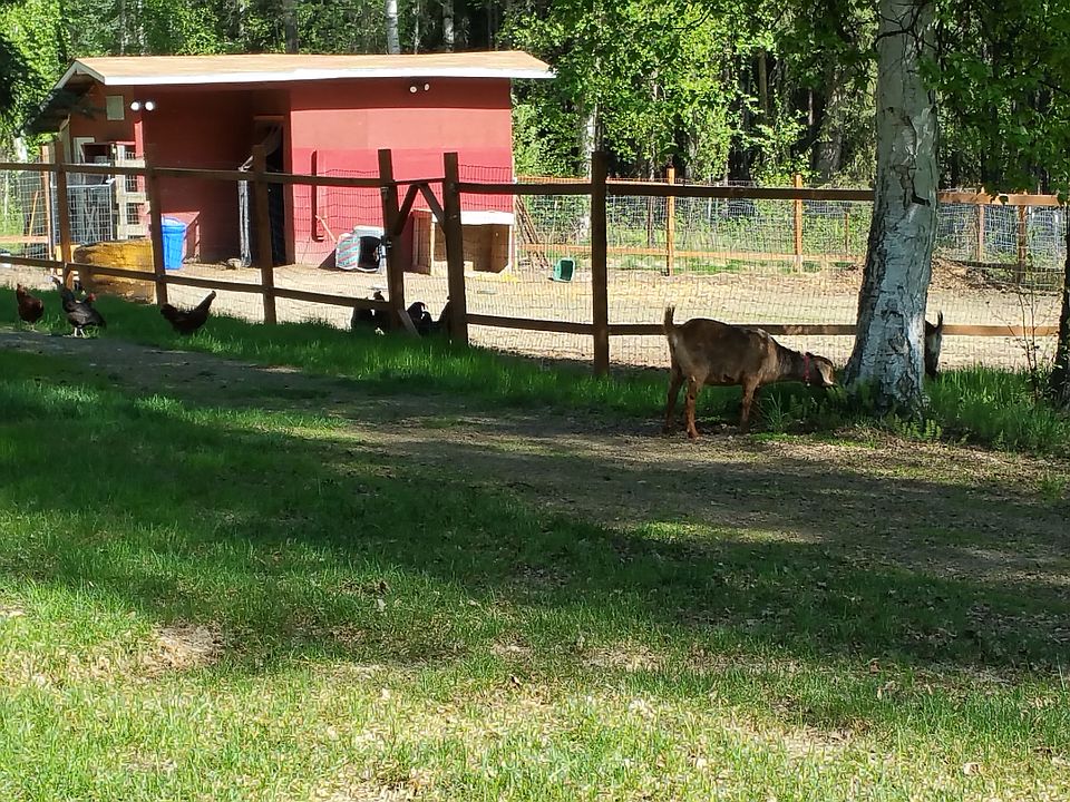Barn and Paddock