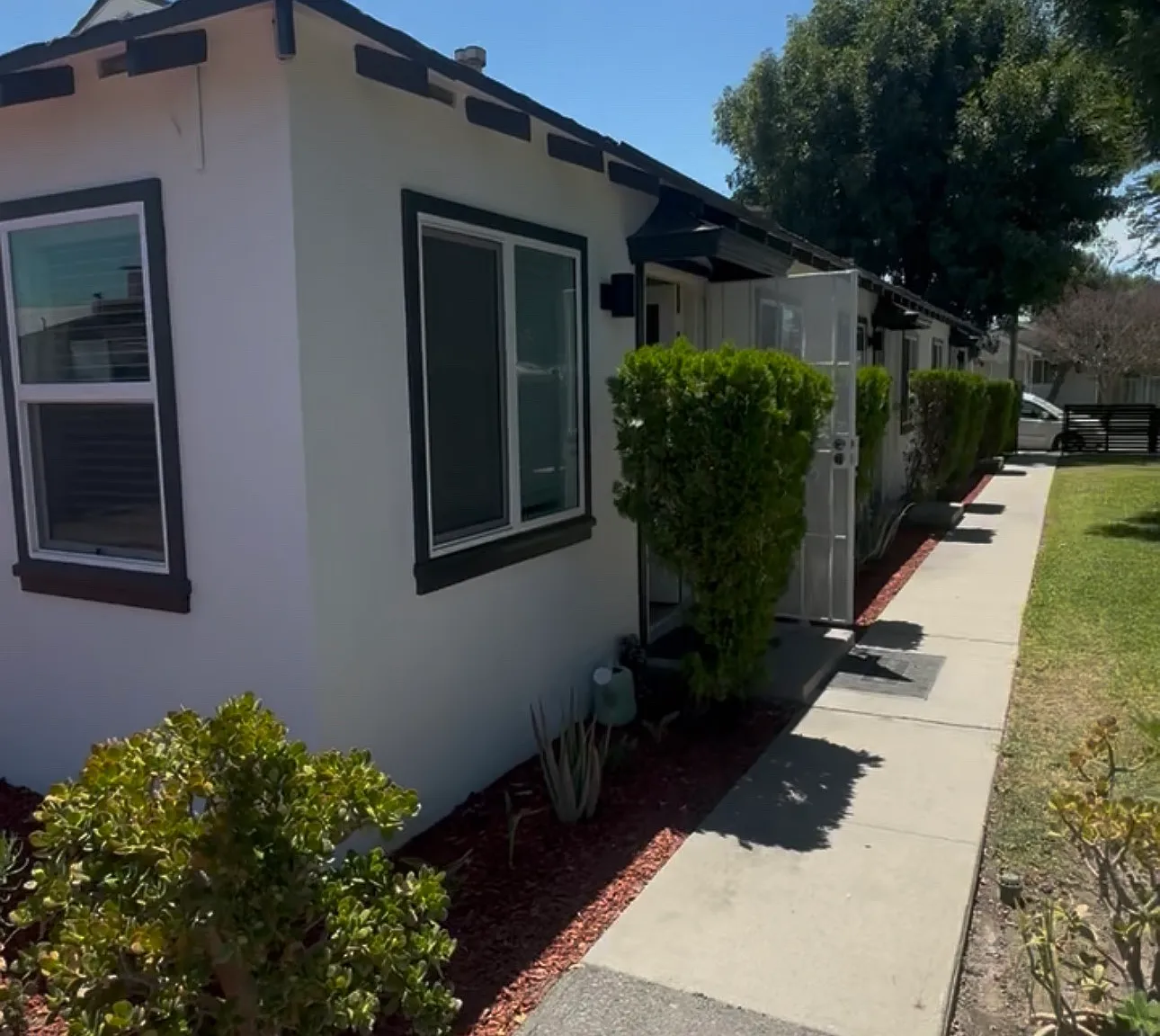 1 bed, $1,600 — Photo 4