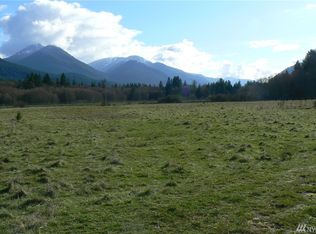 Main St E, Packwood, WA 98361