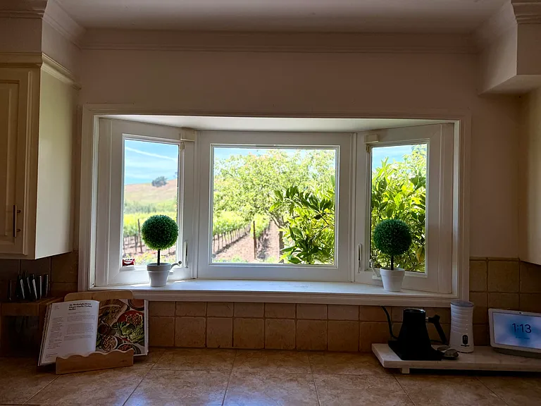 View from kitchen window to vineyard.