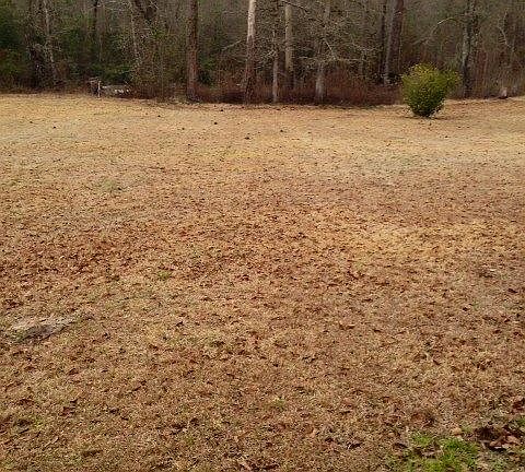 5th image of 1753 Meadowlark Ln