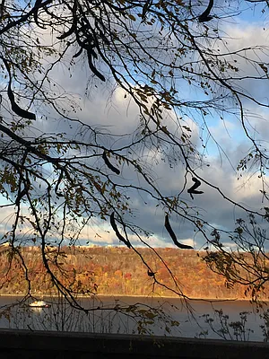 Sold by Corcoran | media 11