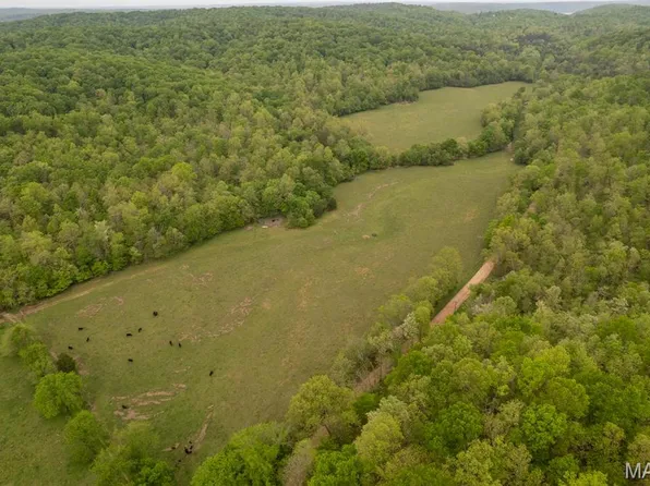 102 AC County Road 352, Piedmont, MO 63957