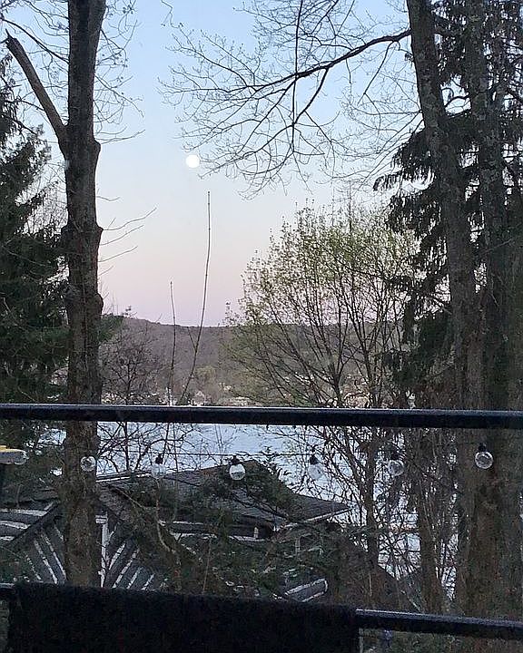 winter view from porch
