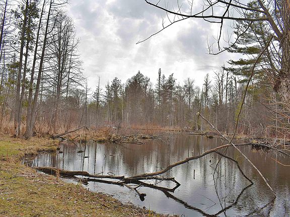 3rd image of 210 Spring St #22