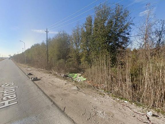 5th image of 0 W Hardy Rd