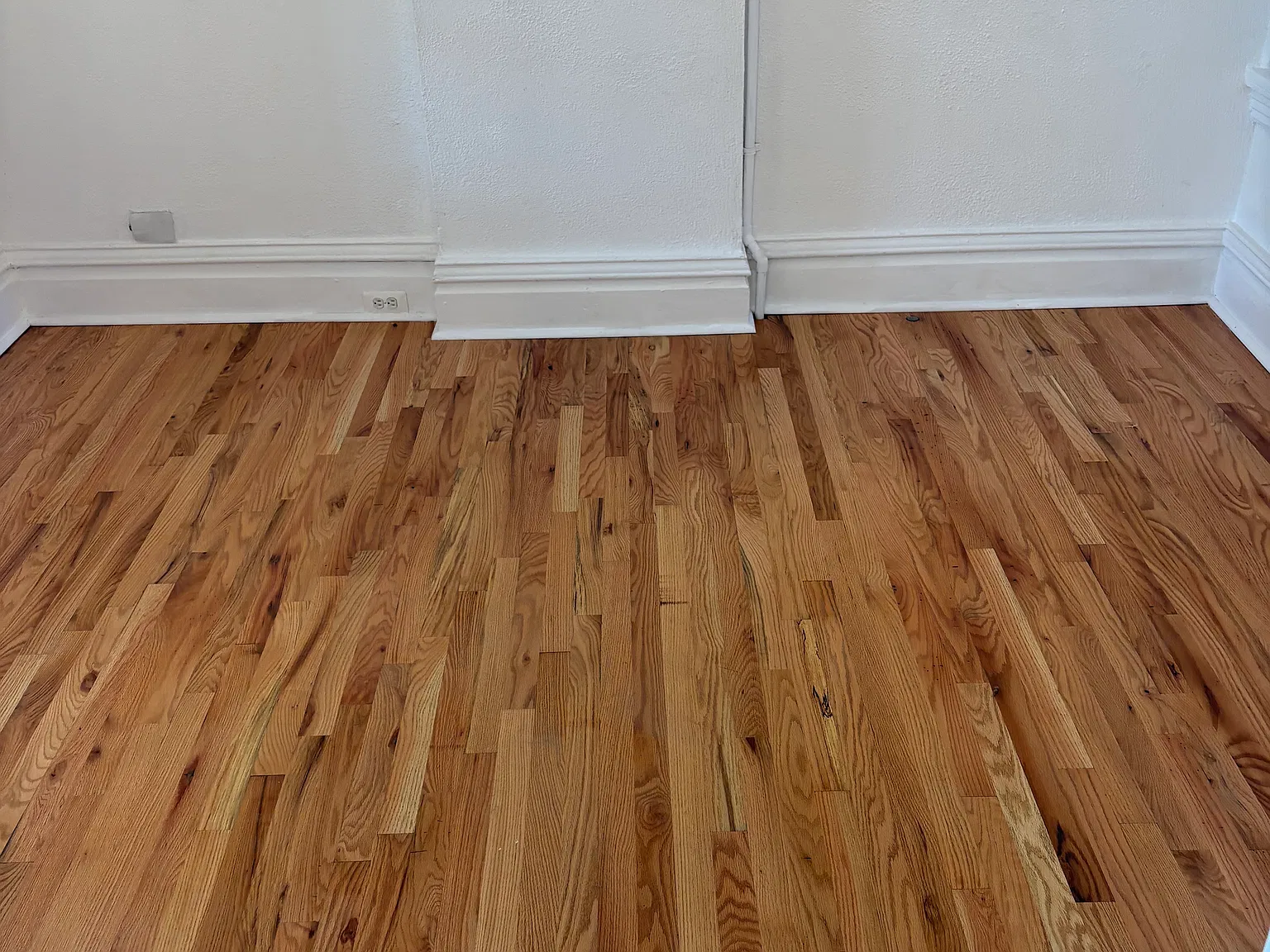 1 bed, 550 sqft, $750 — Photo 3