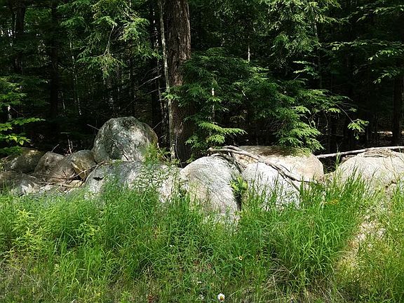 5th image of Lincoln Pond Road