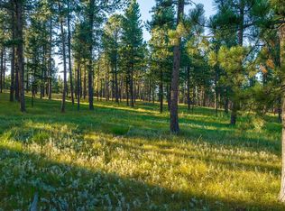 LOT 5 Tin Cup Trl, Custer, SD 57730