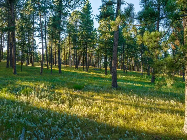 LOT 5 Tin Cup Trl, Custer, SD 57730