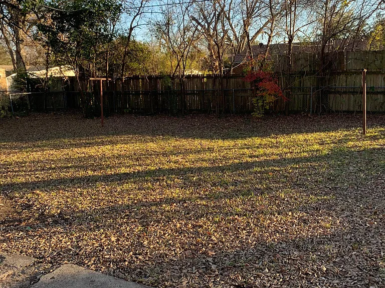 Nice backyard