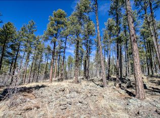 E Osprey Ln, Pinetop, AZ 85935
