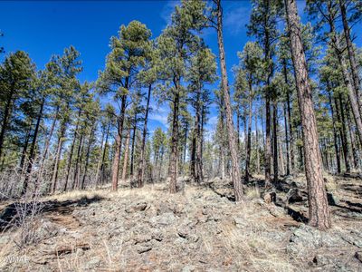 E Osprey Ln, Pinetop, AZ, 85935