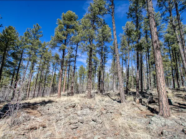 E Osprey Ln, Pinetop, AZ 85935