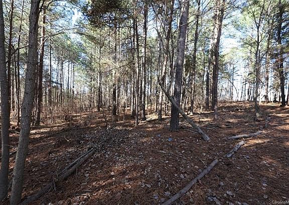 5th image of 135 W Cold Hollow Farms Dr