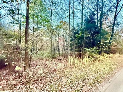 0 Eccles Rd, Sugar Grove, PA, 16350