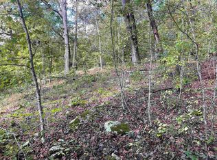 0 Route 1, Webbville, KY 41180