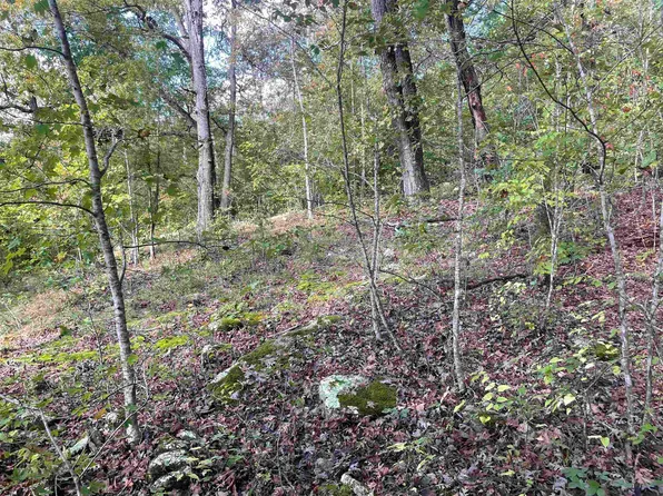 0 Route 1, Webbville, KY 41180