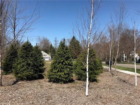 Landon Rd, Shaker Heights, OH 44122