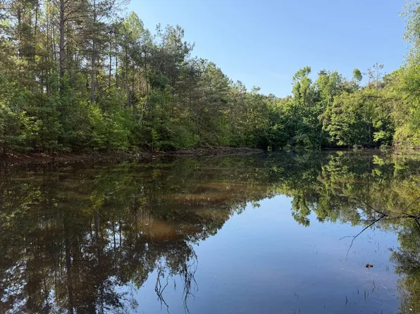 0 County Road 216, Blue Springs, MS 38828